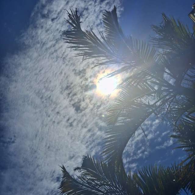 天气预报，带davidonefighter精美的照片