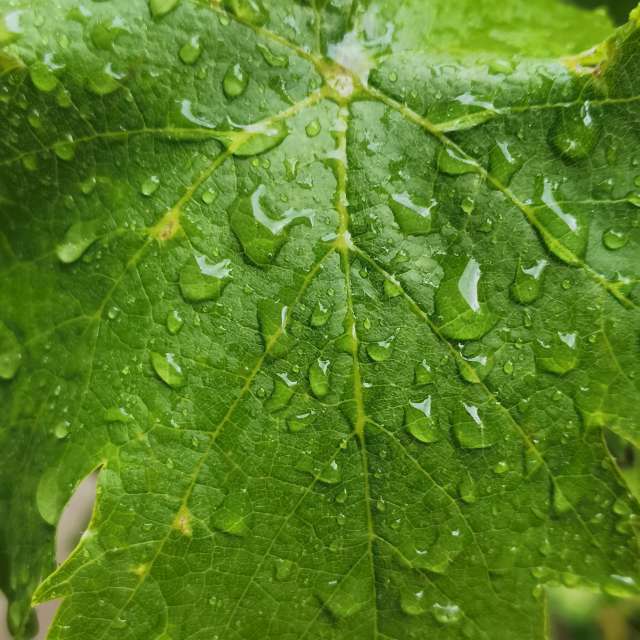 Wettervorhersagen mit schönen Fotos von nox