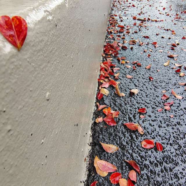 奇科的Parking lot. 天气预报，带Ghostroku精美的照片照片