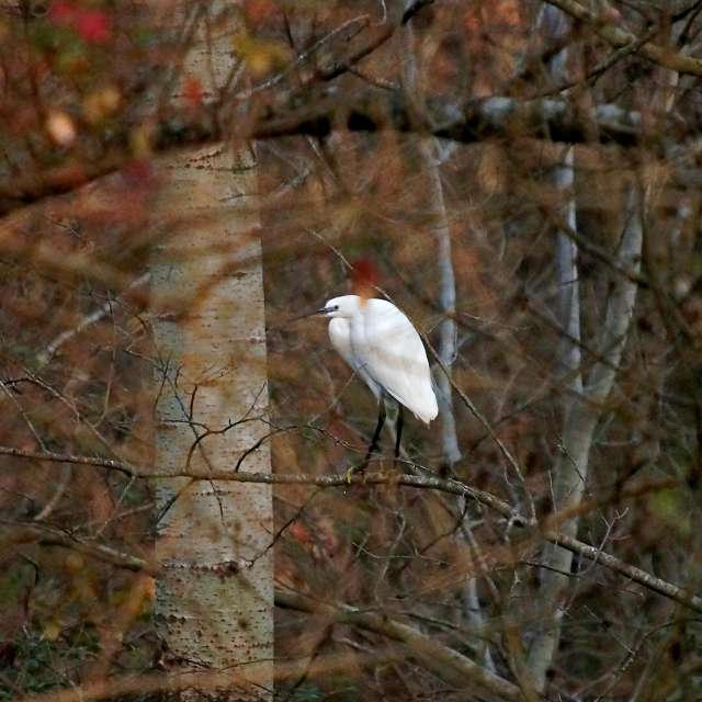 Weather forecasts with beautiful photos by tony5636