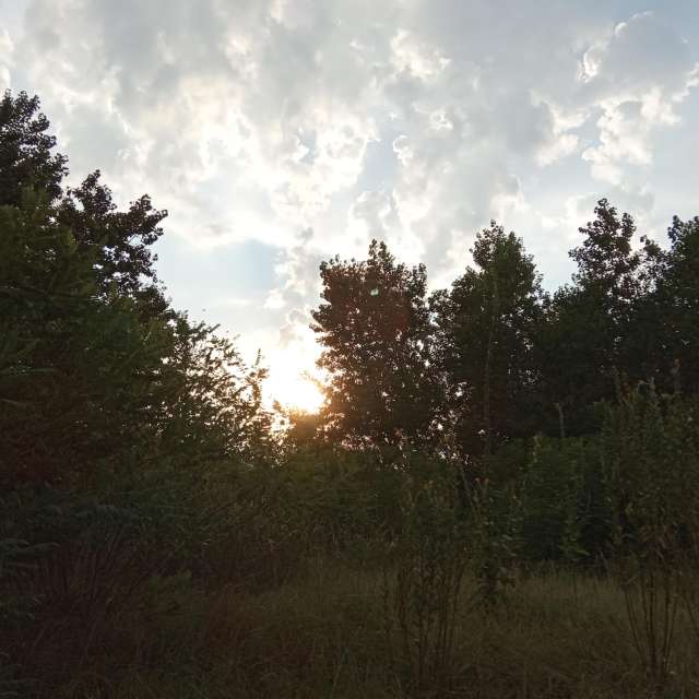 Novi Beograd的Weather. 天气预报，带Doc_H精美的照片照片