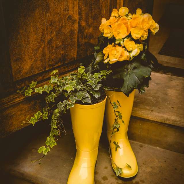 Wettervorhersagen mit schönen Fotos von Terraza74