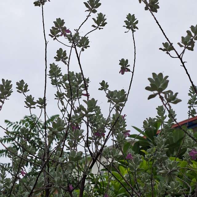 Clock. Weather forecasts with beautiful photos by Wen-ya Huang Photos in Kaohsiung City
