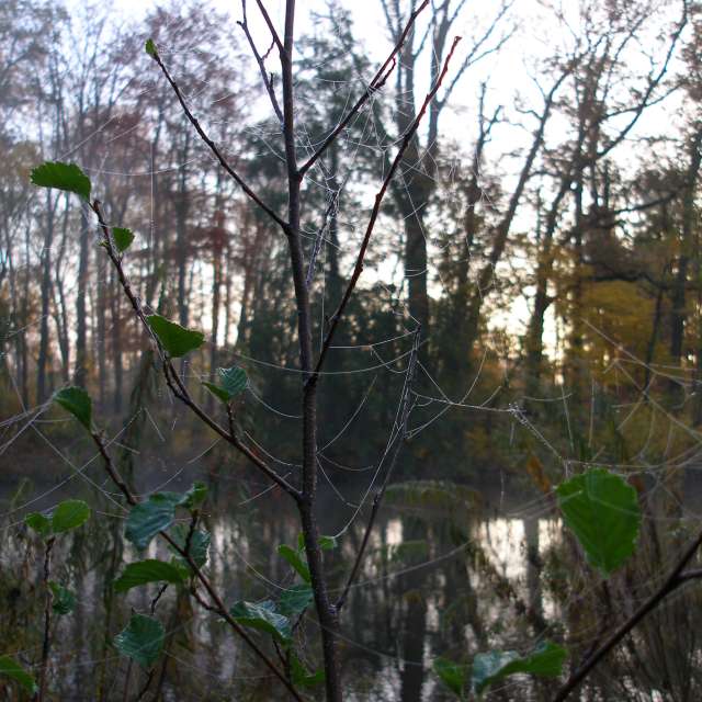 天气预报，带ivan-ko精美的照片