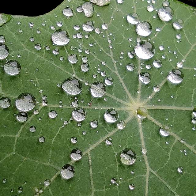 Fotos del Naturalmente. Pronósticos del tiempo con hermosas fotos de Miloš_SK en Sereď