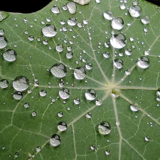 Naturen. Wettervorhersagen mit schönen Fotos von Miloš_SK Fotos Sereď