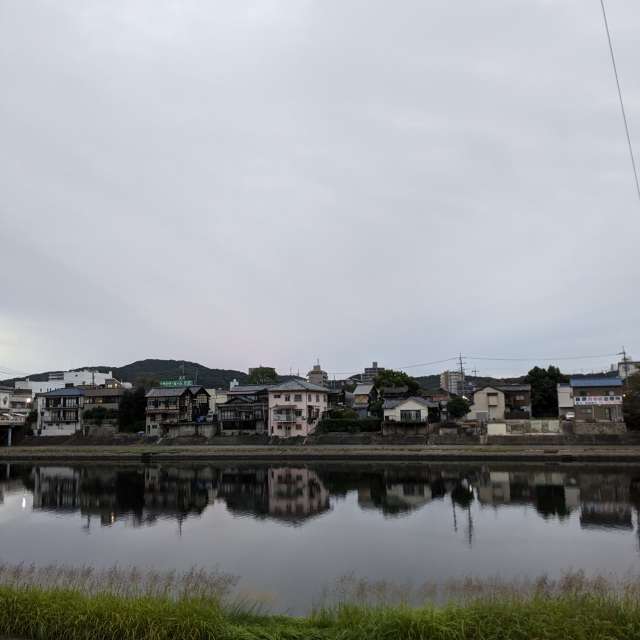 Sheep. Weather forecasts with beautiful photos by あさのジジ Photos in Okayama