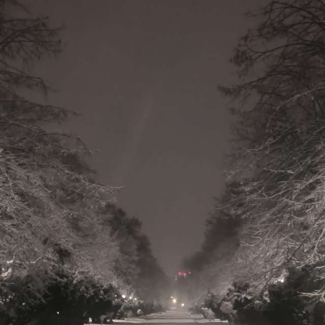 Прогнозы погоды с чудесными фотографиями, сделанными YanMir