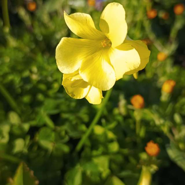 Прогнозы погоды с чудесными фотографиями, сделанными RUMBASTER