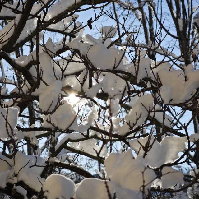 Pronósticos del tiempo con hermosas fotos de Fabri