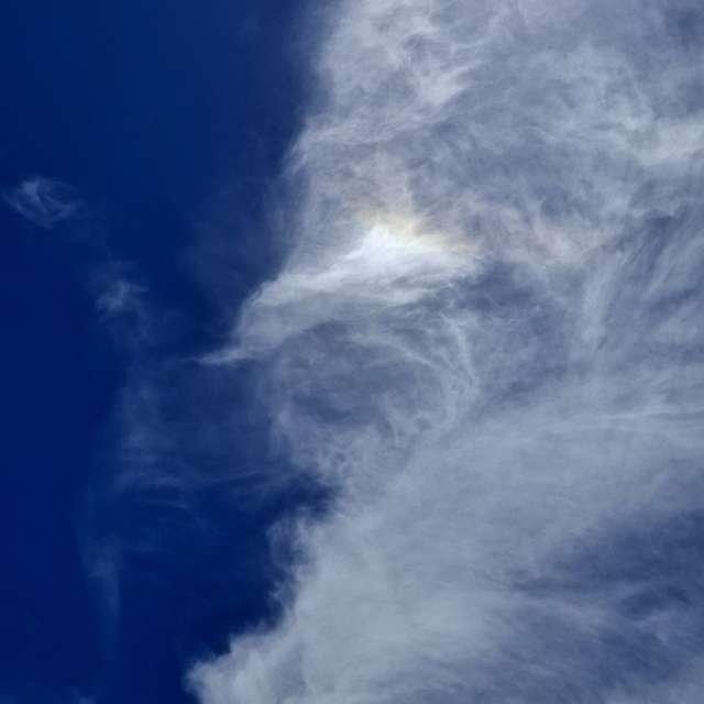 Katze. Wettervorhersagen mit schönen Fotos von Wen-ya Huang Fotos Kaohsiung