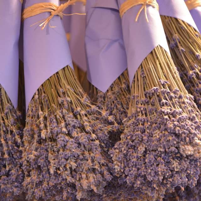 Previsões do tempo com lindas fotos de kriotis