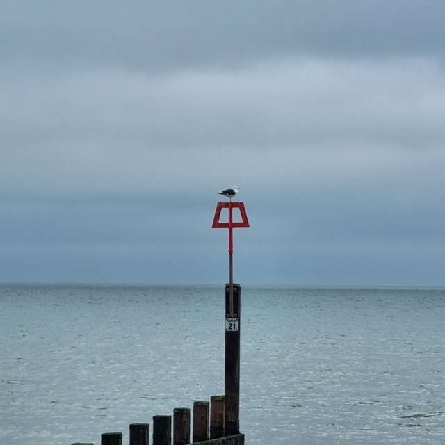 Weather forecasts with beautiful photos by DaB