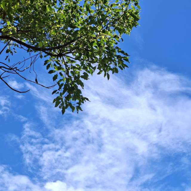 Fotos Parque. Previsões do tempo com lindas fotos de Wen-ya Huang em Kaohsiung City