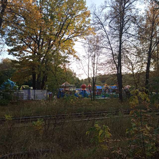 Pasture. Weather forecasts with beautiful photos by Amanda_and_Valdemar_Che Photos in Izmaylovo District