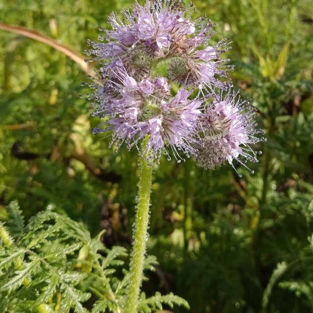 accoteの美しい写真による天気予報
