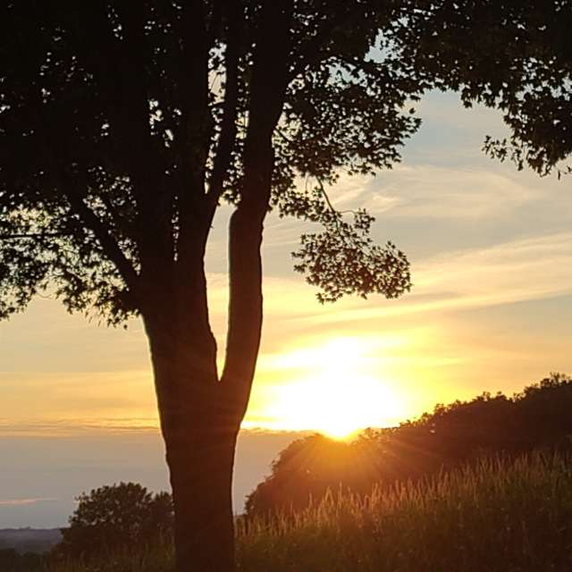 Pronósticos del tiempo con hermosas fotos de Richtoldi