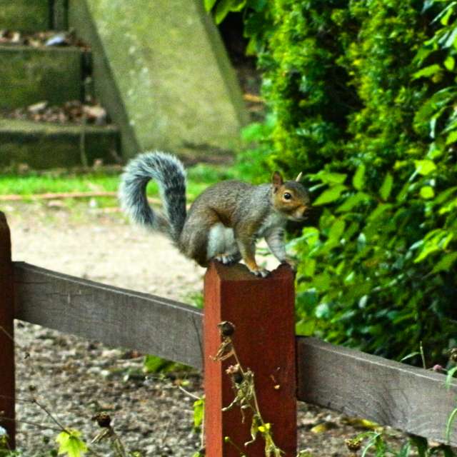 Previsões do tempo com lindas fotos de DarekCho