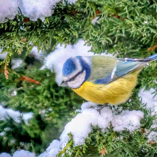 Lotti5507の美しい写真による天気予報