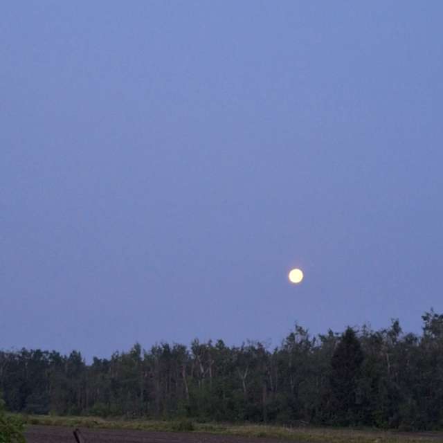 Plane. Weather forecasts with beautiful photos by ccdn0630 Photos in Barrie
