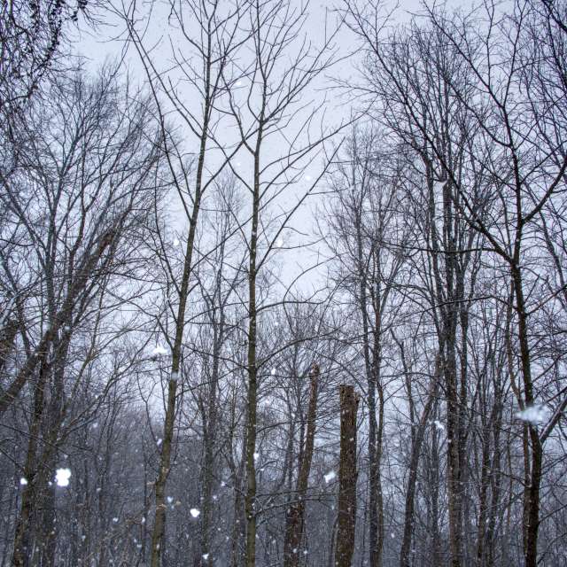 Previsões do tempo com lindas fotos de krantzjh
