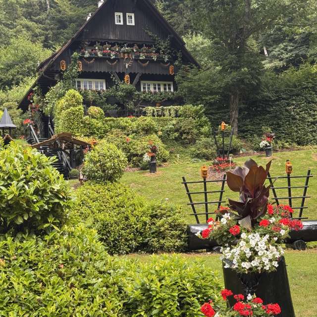 Weather forecasts with beautiful photos by DocHolliday987