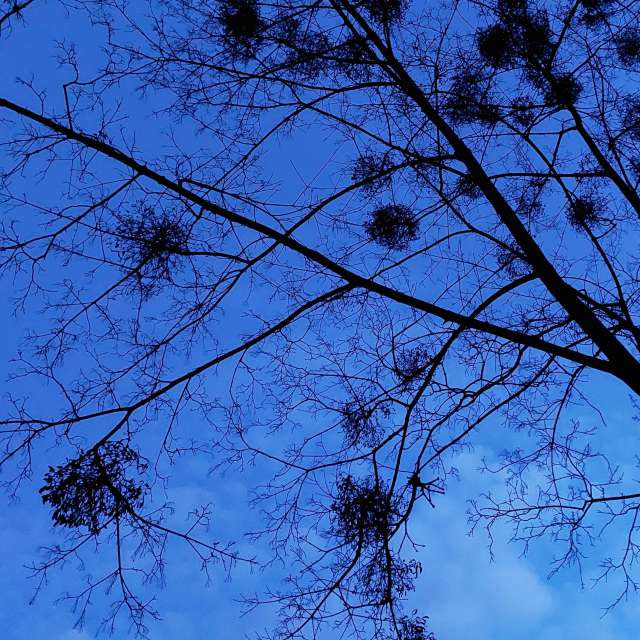 Sky. Weather forecasts with beautiful photos by Iryna Photos in Kharkiv