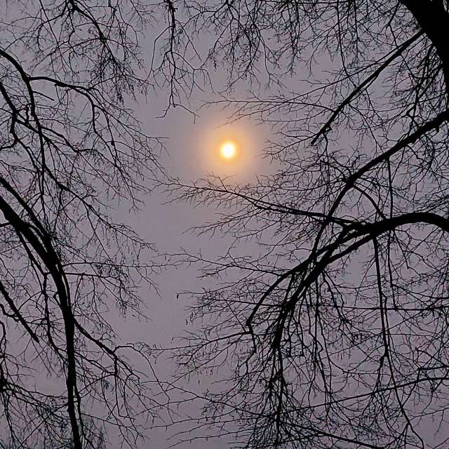 Light. Weather forecasts with beautiful photos by Iryna Photos in Kharkiv