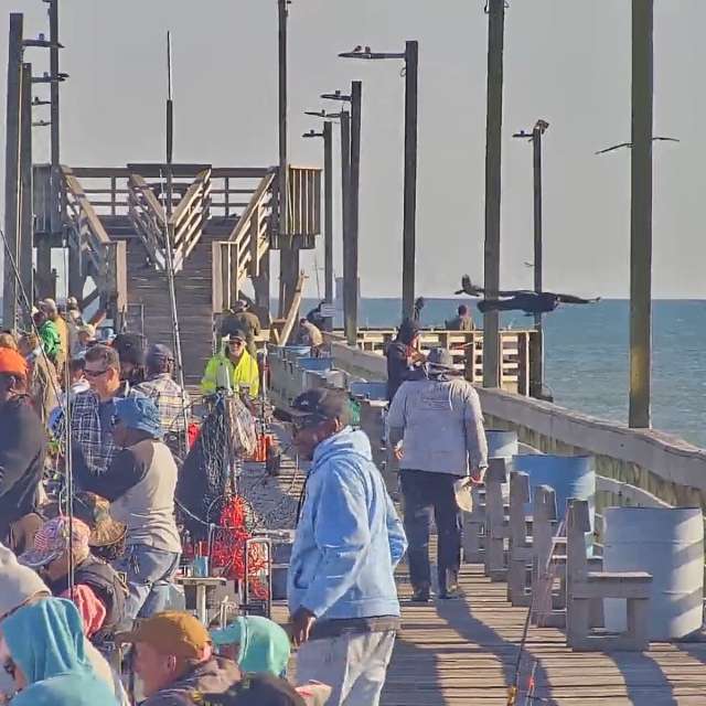 天气预报，带Awcat精美的照片