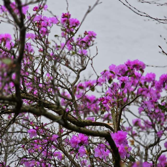Tower. Weather forecasts with beautiful photos by Seni Photos in Velbert