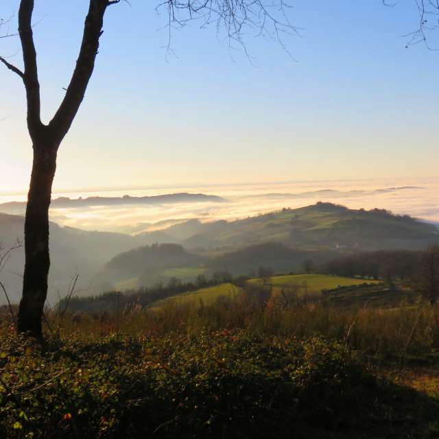 Weather forecasts with beautiful photos by MariePhotos