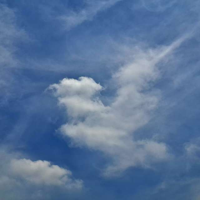 Fotos Dia. Previsões do tempo com lindas fotos de Wen-ya Huang em Kaohsiung City