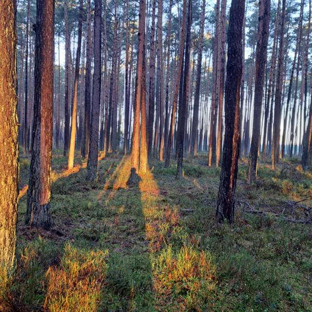 Прогнозы погоды с чудесными фотографиями, сделанными Arturo