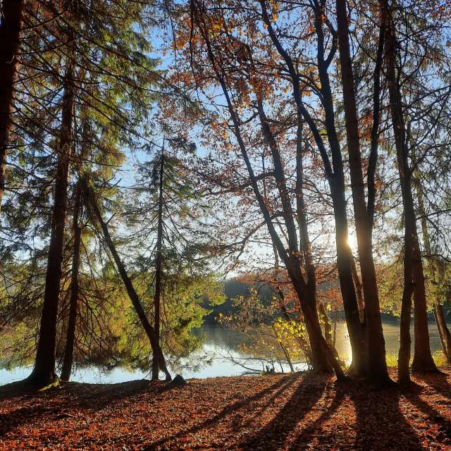 Birgit_Gの美しい写真による天気予報