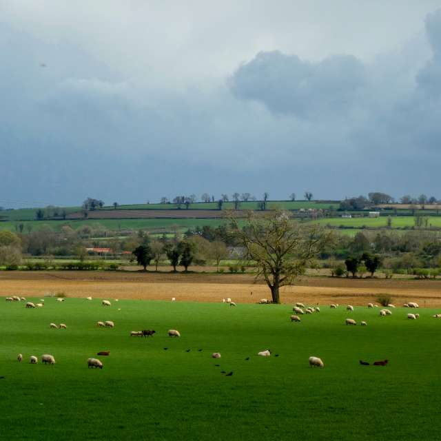 Weather forecasts with beautiful photos by DarekCho