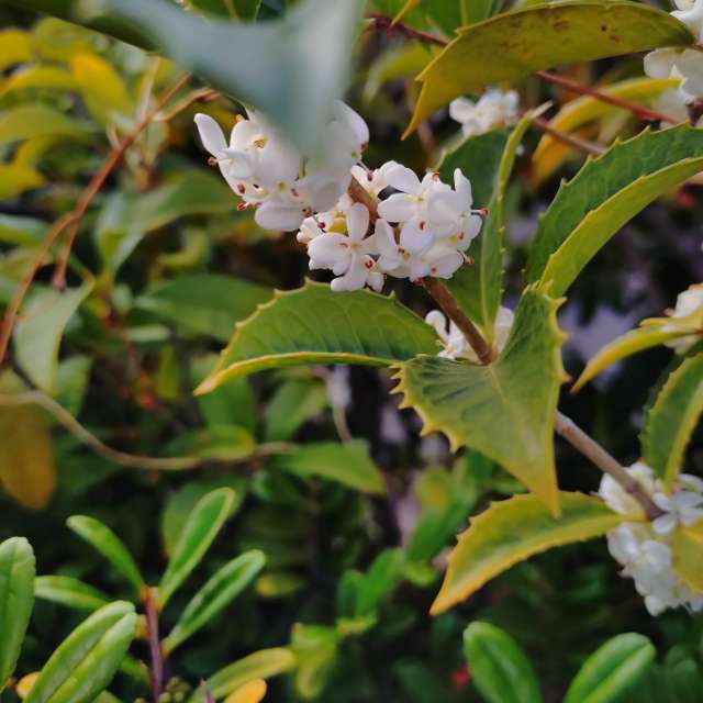 Eating. Weather forecasts with beautiful photos by kon__miyuki Photos in World