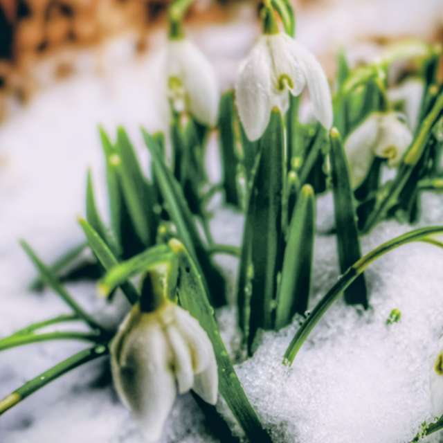 Group. Weather forecasts with beautiful photos by Lotti5507 Photos in World