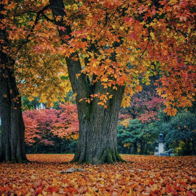 Weather forecasts with beautiful photos by Sebus1981