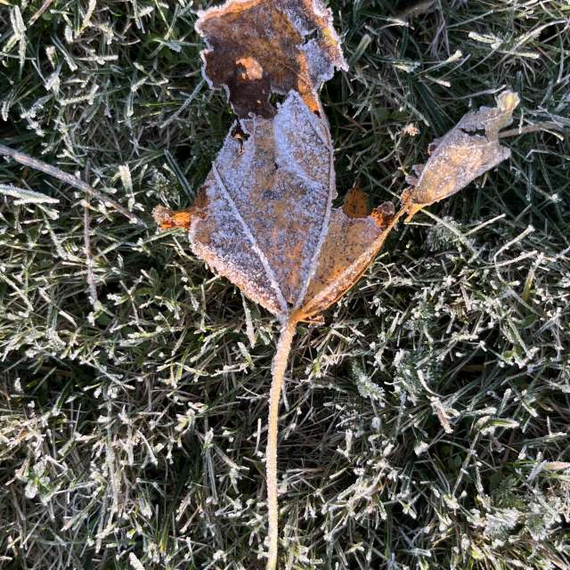 Photos Champ. Prévisions météo avec de superbes photos de Stassy de Teshkovo