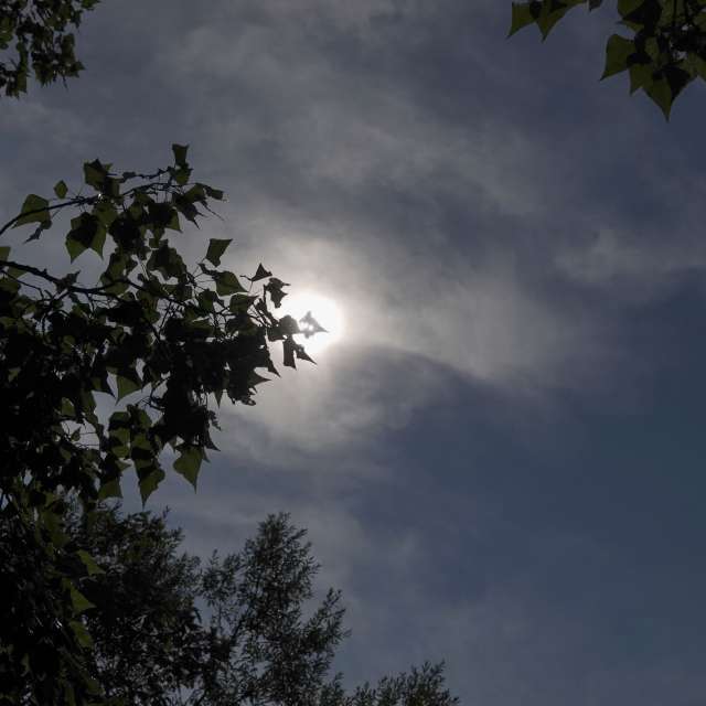 天气预报，带Vasek325精美的照片