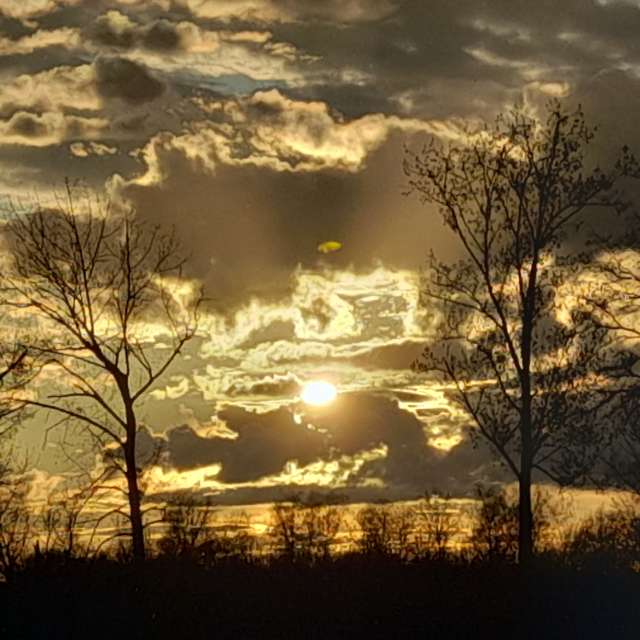 天气预报，带Liv精美的照片