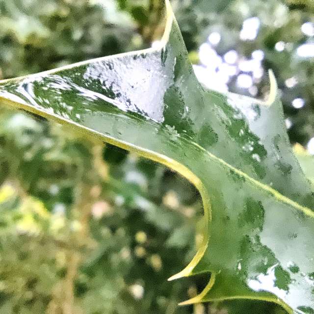 Fotos Molhado. Previsões do tempo com lindas fotos de Zorrra em Kladow