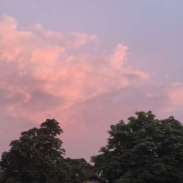 Front. Weather forecasts with beautiful photos by Tercis Photos in Ettlingen