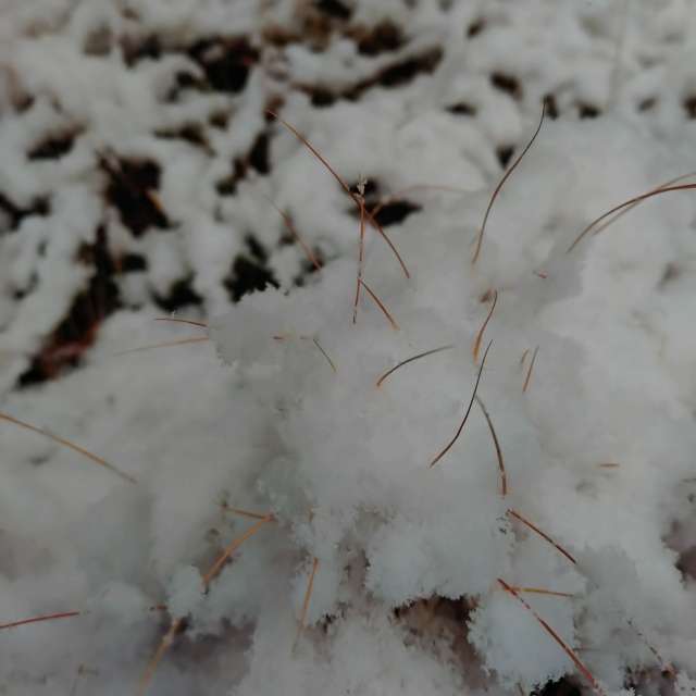 Прогнозы погоды с чудесными фотографиями, сделанными kon__miyuki