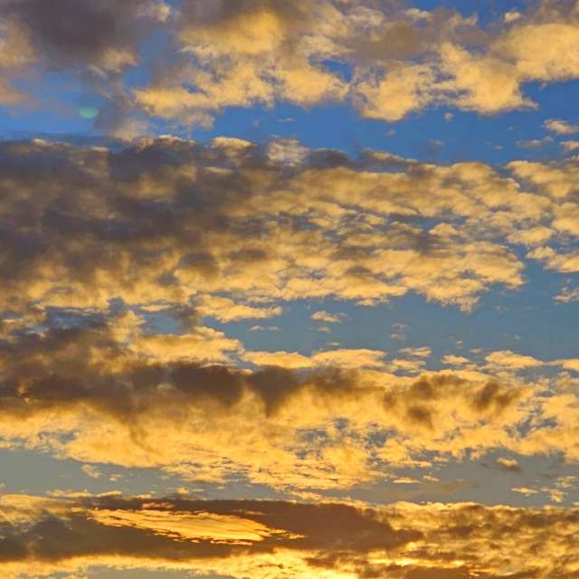 Flock. Weather forecasts with beautiful photos by Seni Photos in Velbert