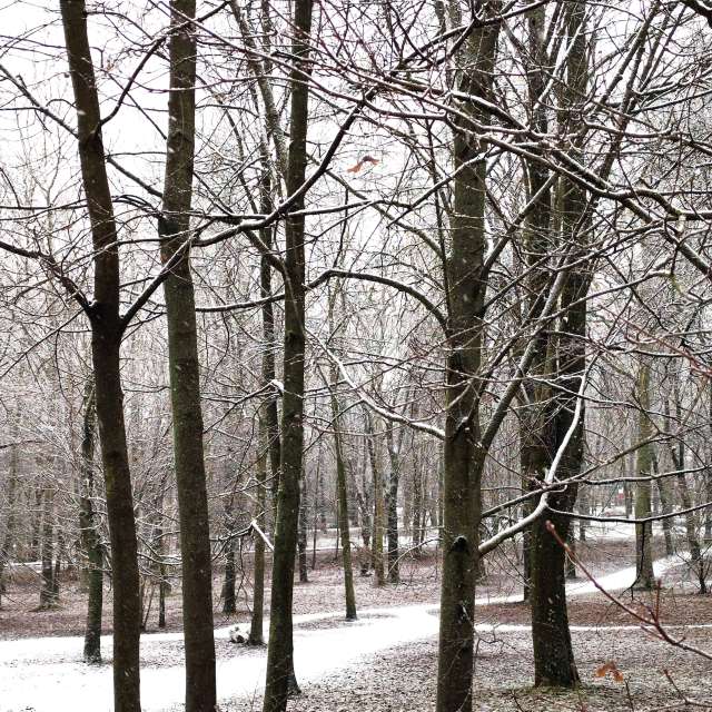 天气预报，带sloarai精美的照片