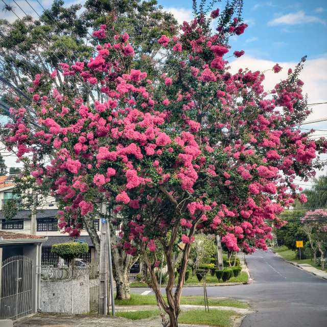Weather forecasts with beautiful photos by Joserobertos74