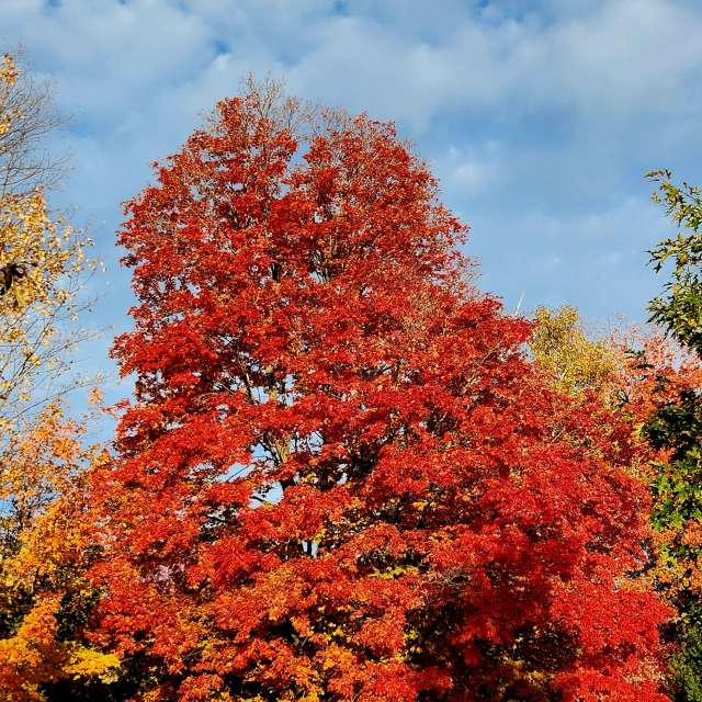 Weather. Wettervorhersagen mit schönen Fotos von KevinG Fotos Kanata Avenue