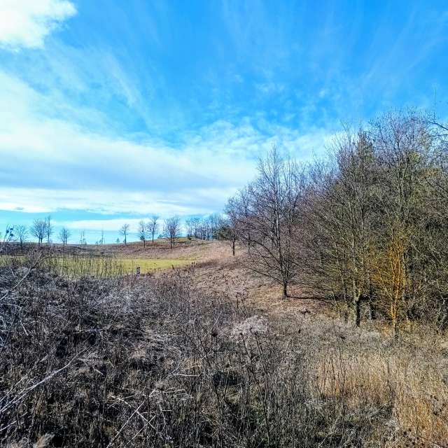 Kripoの美しい写真による天気予報