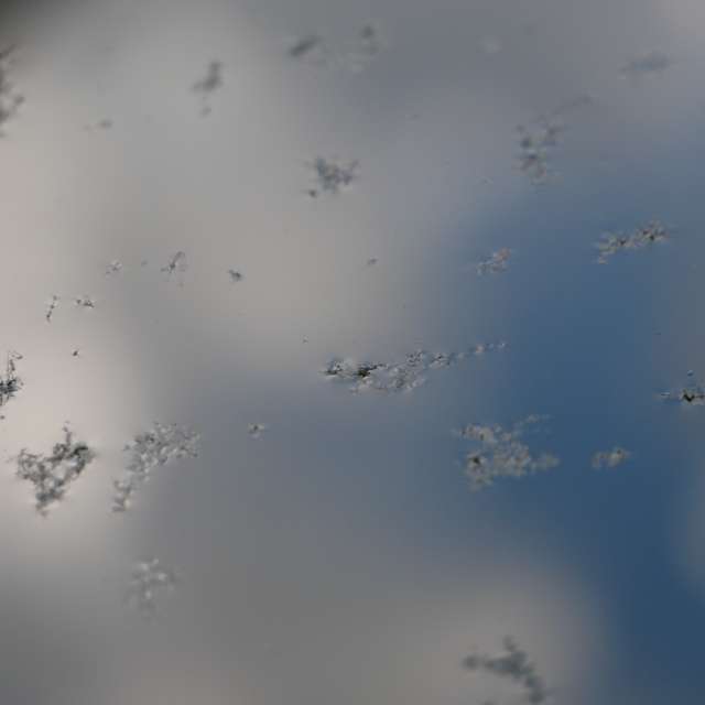 Photos Pluie. Prévisions météo avec de superbes photos de Miloš_SK de Sereď